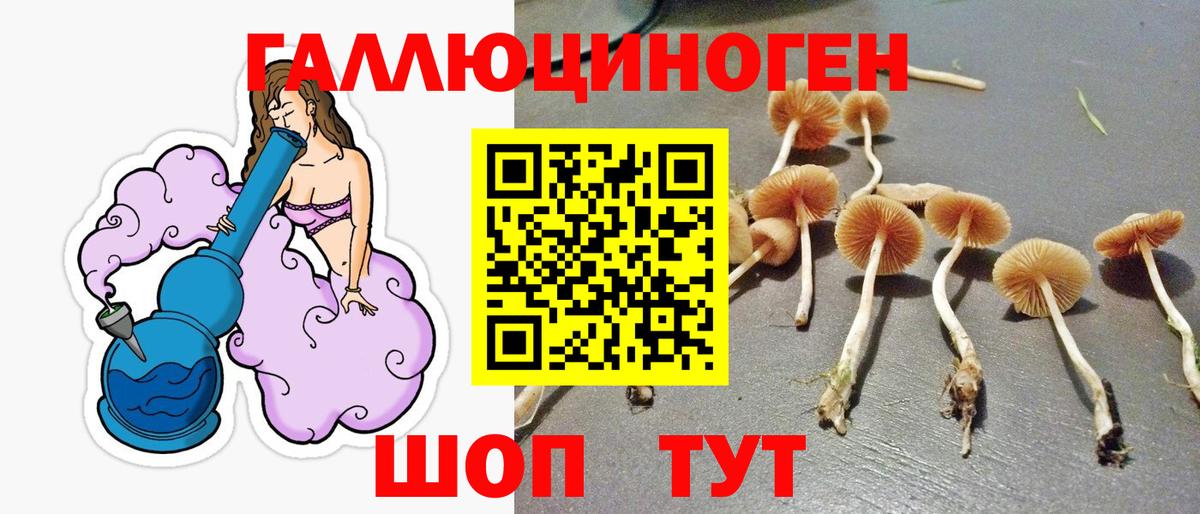 Волжский  закладка  Вход с VPN  Галлюциногенные грибы ЛСД 