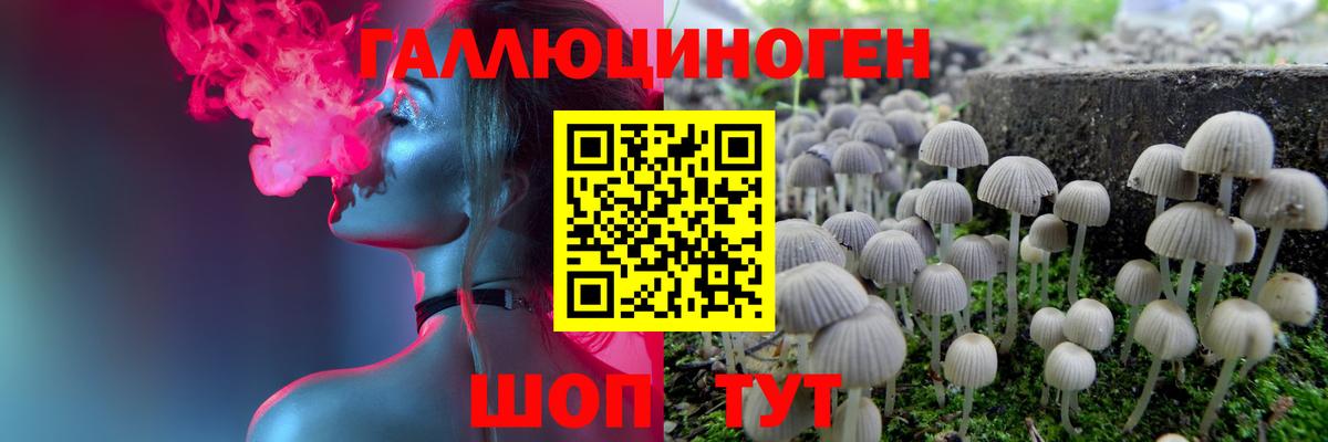 Галлюциногенные грибы мухоморы Волжский